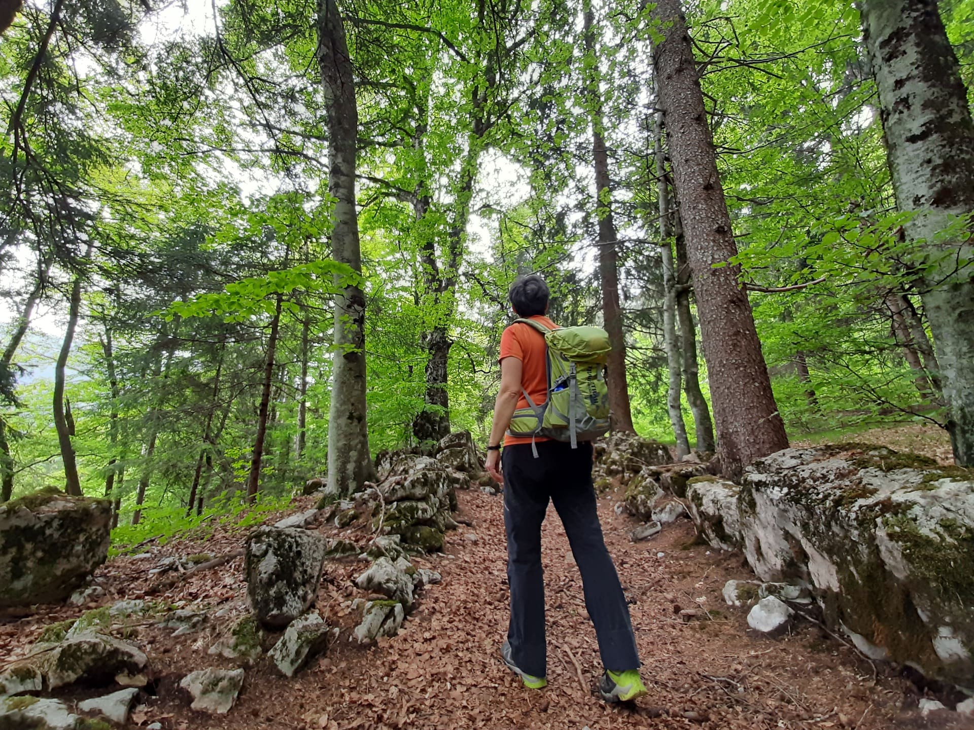 Trekking Andalo Pegorar Sarnacli Estate 2021 Ph. Voglino